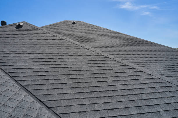 Best Rubber Roofing (EPDM, TPO)  in Erie, IL